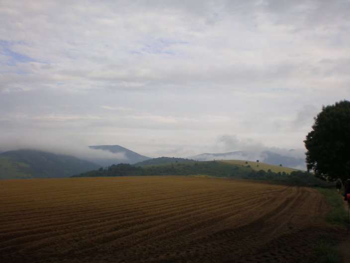 200807 t jacques 327.jpg